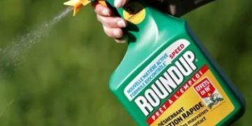 roundup