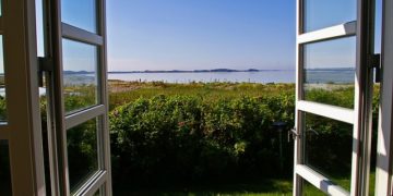 Black Mold Health Effects and Remediation Tips